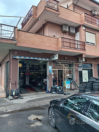 Officina Gommista Storica anzio