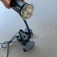 Animali- lampada UvA eUvB