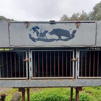 cassa trasporto cani