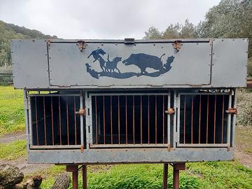 cassa trasporto cani