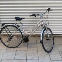 Bicicletta grigia