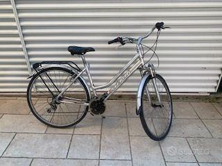 Bicicletta grigia