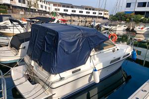 Fairline 24 + Steyr Motors 278cv diesel anno 2009