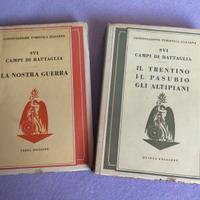 Coppia libri 1° guerra mondiale storici turistici