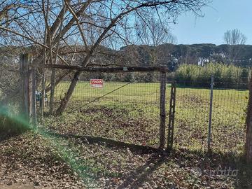 Terreno agricolo Torre del Lago