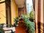 Immagine 7
