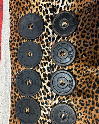 Set Dischi Pesi Palestra In Ghisa/Acciaio (80kg)