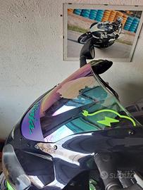 cupolino multicolore kawasaki 