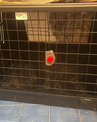 Trasportino per cani buovo mai usato