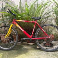 Top Bike