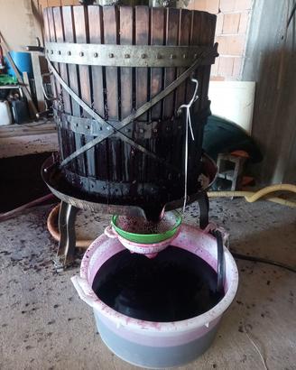 vino bio palizzi 