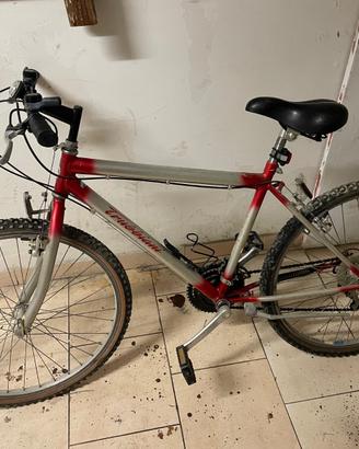 Bicicletta mtb mountain bike 26