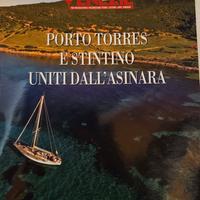 Monografia 
