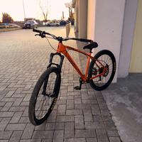 C100 collective bikes
