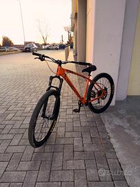 C100 collective bikes