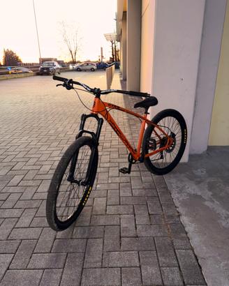 C100 collective bikes