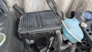 radiatore Aprilia SR 