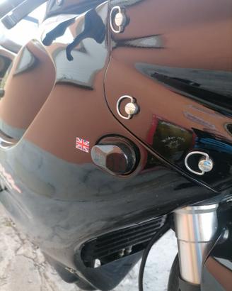 TRIUMPH DAYTONA T595