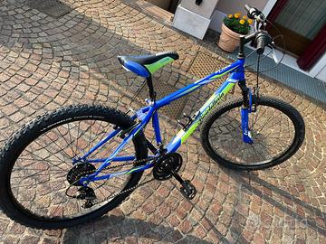 Bicicletta ragazzo