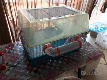 Gabbia Ferplast duna fun