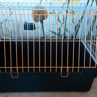 Trasportino/gabbia per cane taglia M