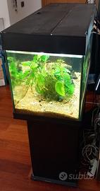 Acquario 160 litri