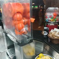 spremi agrumi professionale 