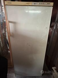 Congelatore verticale