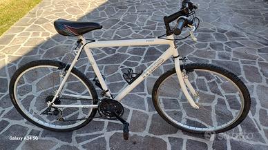 Bicicletta Mass mtb
