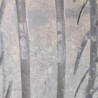 Cerchi e gomme Ford fiesta