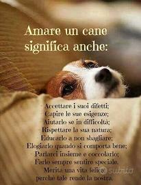 Dogsitter e Educatrice cinofila