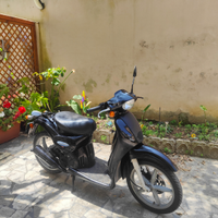 Scarabeo 50