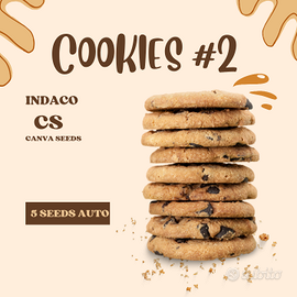 Grafiche artigianali per sementi