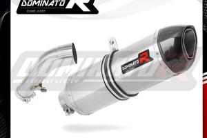 SCARICO TERMINALE SPECIAL TITANIO BMW R1200R