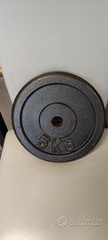 Pesi ghisa 5Kg