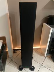 Diffusori Mcintosh xr100  			