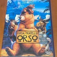 Koda fratello orso