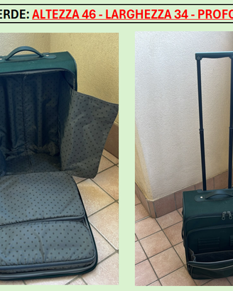 DUE BAGAGLI A MANO DELSEY E RONCATO (SCOMPARTO PC)