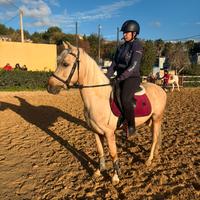 Super poni