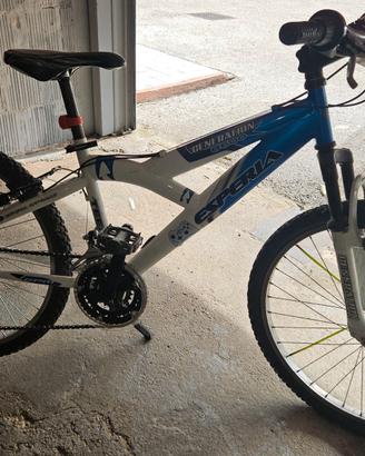 Bicicletta