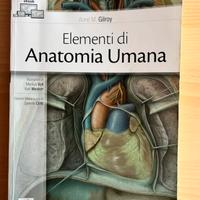 Manuale di anatomia umana