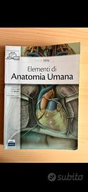 Manuale di anatomia umana