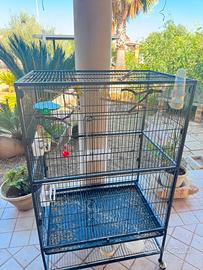 Animali