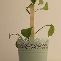 Vasetti effetto pizzo