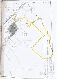 Terreno tutto faggio 2 al mq