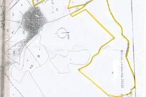 Terreno tutto faggio 2 al mq