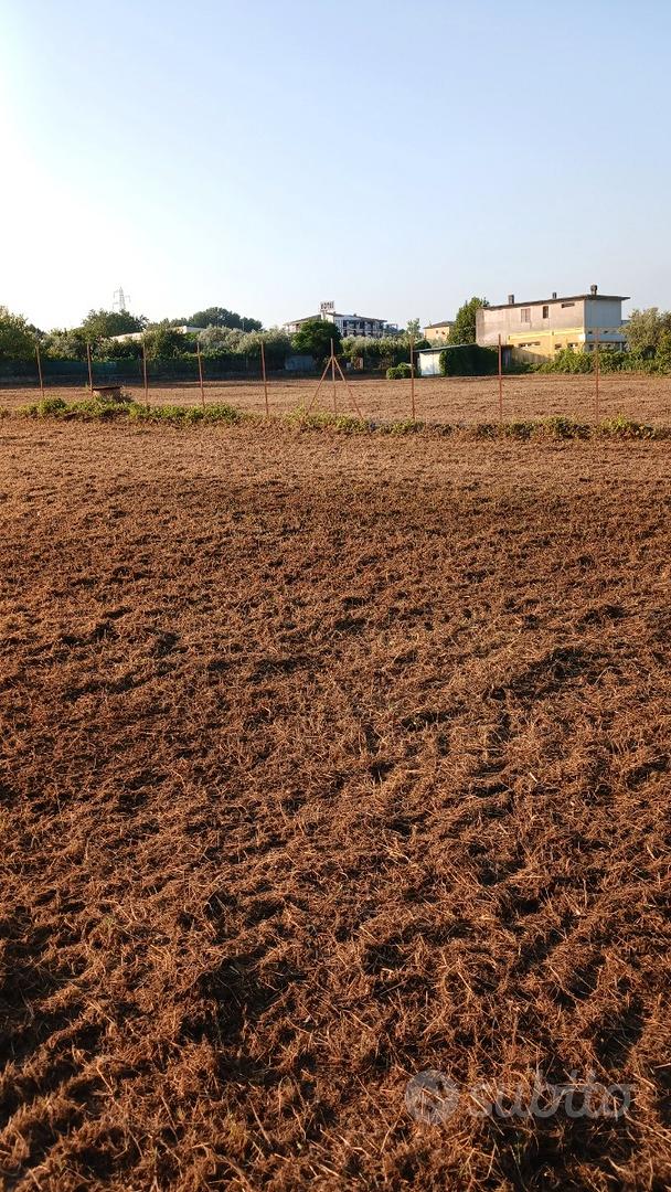 Terreno Sant'Elia Fiumerap.(FR) x AUTOGRILL - Vista 5