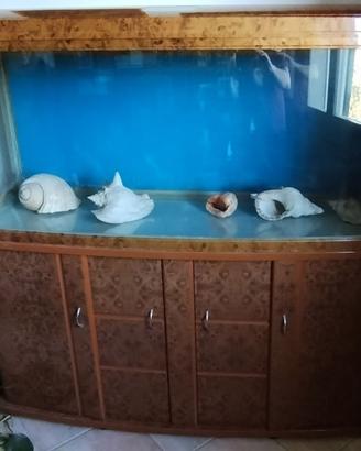 AQUARIO CON MOBILE 300 LITRI