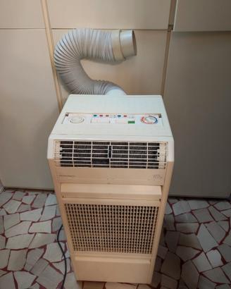 Pinguino-Condizionatore+deumidificatore portatile
