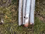 Immagine 2